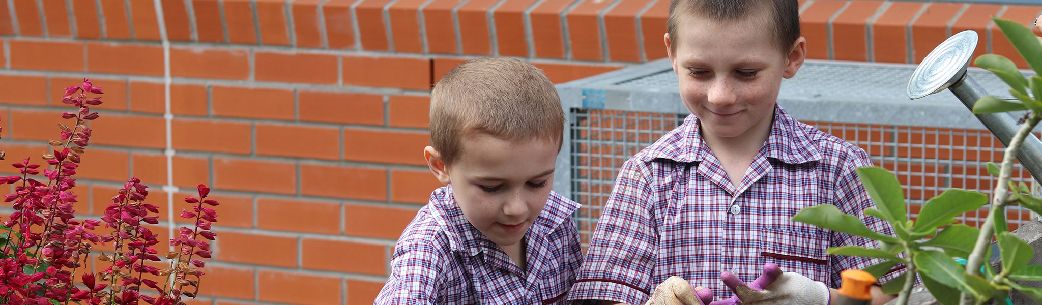 Hendra State School